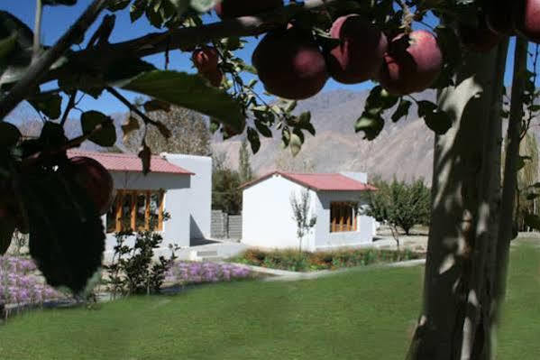 Himalayan Eco Resort Hundar Exterior photo