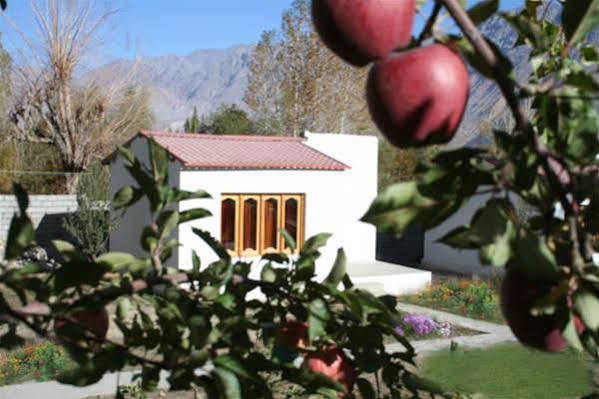 Himalayan Eco Resort Hundar Exterior photo